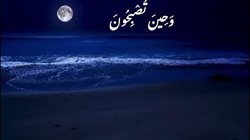 ‏﴿ فَسُبْحَانَ اللَّهِ حِينَ تُمْسُونَ ‏وَحِينَ تُصْبِحُونَ  ﴾ القارئ عبدالله الموسى
