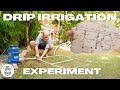 Experiment  designing a dripirrigation system for my future food forest