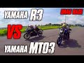 Yamaha Mt03 vs R3 Batalla a Muerte Drag Race