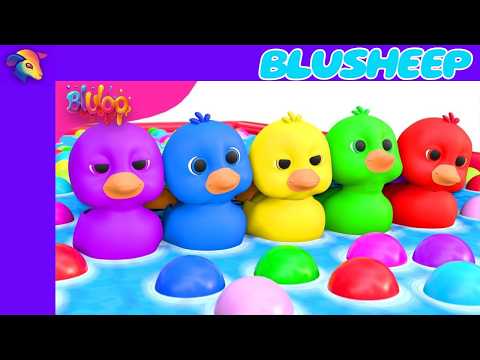 Five Little Ducks | Colorful Ducks Song | BluSheep Nursery Rhymes & Kids Songs