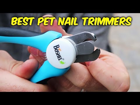 Best Pet Nail Trimmer
