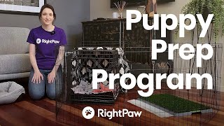 RightPaw's Puppy Prep Program