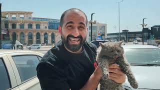 انقاذ قطة منزلية مرميه في الشارع