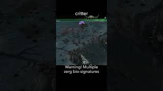 critter — StarCraft 2 dialogue scene