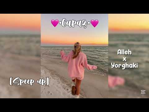 💖•Capaz•💖//[SPEEP UP]🌷✨//Lo usan?💫😊
