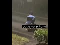وحدي أدافع عن جدار ليس لي وحدي أدافع عن جدار ليس لي