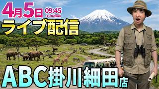 今日プラスで-2桁万円まで戻す‼︎【エヴァ15 エヴァ17】客レベルが日に日に上がるABCさんでガチ実戦 ︎#パチンコ #パチスロ
