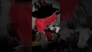 Makhosi Mdlalose... Enkundleni kuphothulwa udadewethu uMakhosi Khumalo.