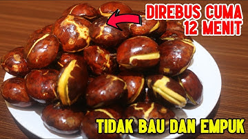 CARA MEMASAK JENGKOL AGAR TIDAK BAU DAN EMPUK , DIREBUS CUMA 12 MENIT SAJA!