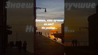 Хадис Пророка ﷺ: Лучшие из вас те, у кого наилучший нрав #ислам #хадис #hadith  #islamicshorts