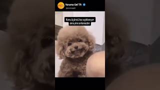 Anlamadığım Bir Konu Anlatıldığında Benim Mahcubiyet