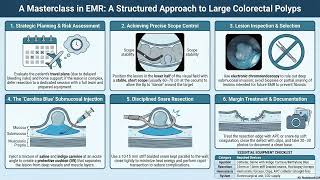 A Patient’s Guide to Colon EMR