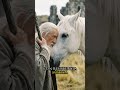 Por qué Gandalf NUNCA le puso montura a Sombragrís