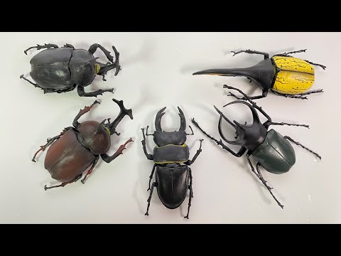 2022 昆虫ハンター カブトムシ クワガタ 全5種 開封 Beetle Stag Beetle Hunter Super Real Figure F TOYS 食玩 Candy Toys