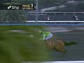 The 1st Running of Skillful Joy Stakes - $65,000 Added