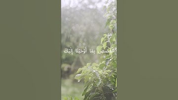 الر ۚ تِلْكَ آيَاتُ الْكِتَابِ الْمُبِينِ | الشيخ أحمد غريب | سورة يوسف