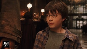 Harry Potter and the Sorcerer