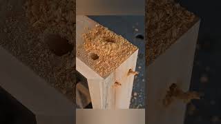 most important person working joints techniques #woodworking #wood #shorts #like #work @MrBeast
