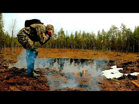 видео: Грибник нашел болото и был в шоке! Один в лесу такого не ожидал! Ягоды и грибы 2024