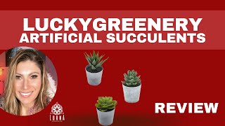 Artificial Succulents Set of 3 Mini Realistic Fake Plants with Plastic Pots Review