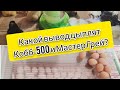 #инкубация#вывод#Инкубатор Матрица Дели подведем итог!!!