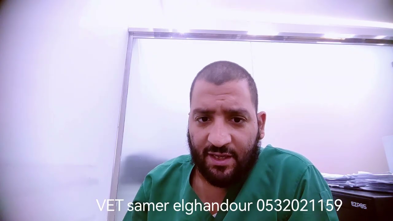 سلسلة أمراض القطط الجزء ٥  طاعون القطط 