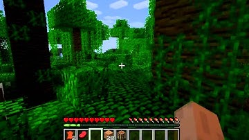 Minecraft "The basics of survival mode"