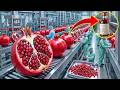 Proceso De Producción De Jugo De Granada Prensado En Frío En Una Mega Fábrica | fabricación