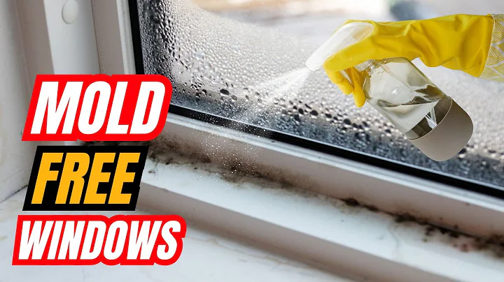 How To Remove Black Mold From Window Sills FAST ⚡