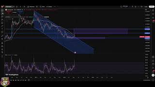 Crypto Analysis: Zebec, Jasmy, XCN, Dogelon, SwftCoin Updates and Targets