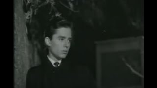 Version 2 of the video