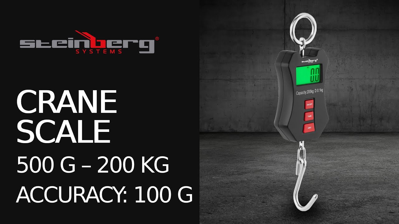 Crane Scale Steinberg Systems SBS-KW-200C | Product presentation