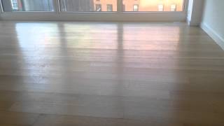 250 Bowery Apt 4A (Wood floor)