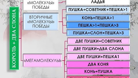 Эндшпиль китайских шахмат - №6 - Против двух слонов