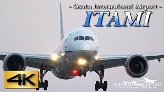 【4K60p】Big Plane Landings at Itami Airport Japan August 6, 2022