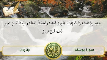 ما تيسر من سورة يوسف - آية 65 - القارئ الشيخ محمود الشحات أنور