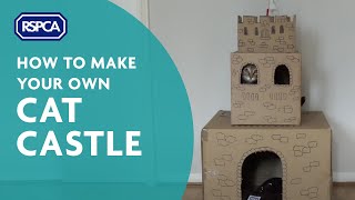 Make a Cat Castle!