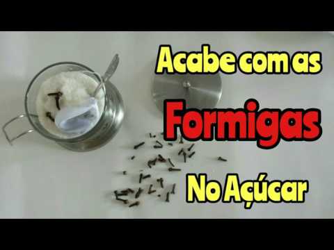 Vídeo: Como se livrar das formigas de açúcar?
