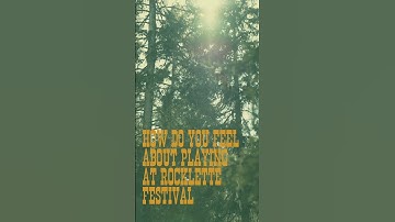SIENA ROOT at PALP Festival - Unforgettable Experiences - What Makes It So Fantastic