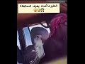 الطير مفجوع ههههههههههههههههههههه