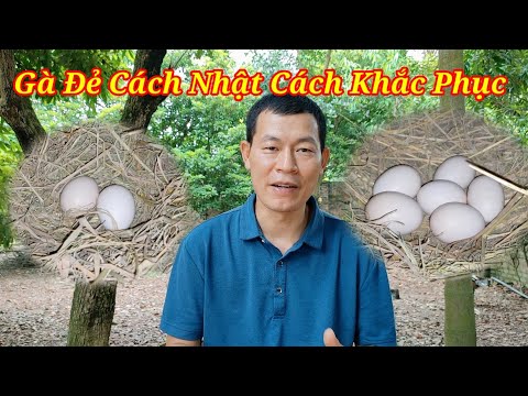 Video: Độc tính Ibuprofen và Naproxen