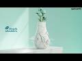 (RQ) Head &amp; Shoulders Derma-X Pro Reklama (2022) Effects (Darkside Pitch Effects)