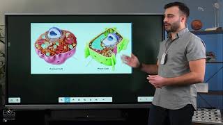 ProColor: High School STEM Lesson