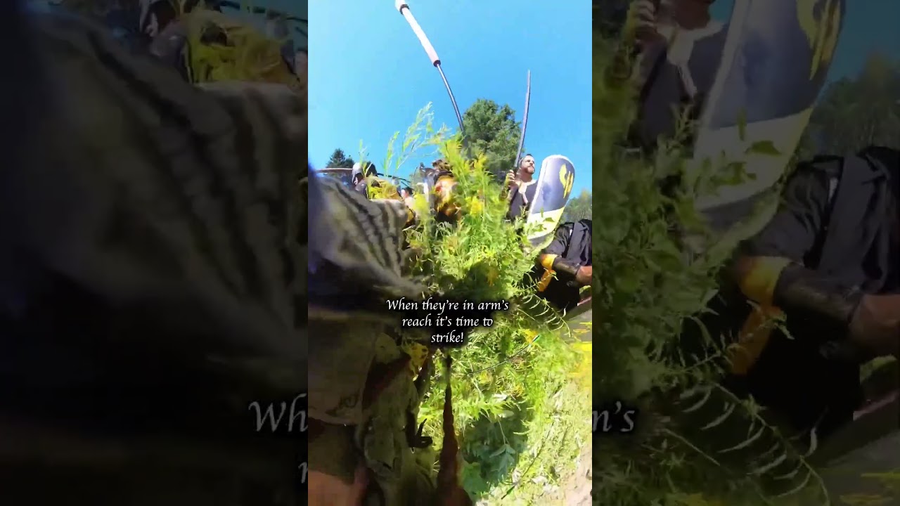 LARP battle in a giant flower bush 🌼