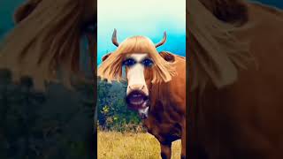 BEFORE 🐃  #comedy #funny #cow #cartoon #animals #trending