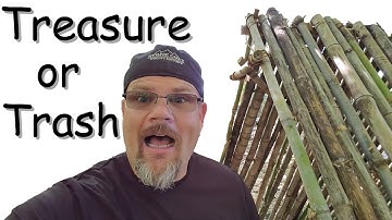 Treasure or Trash is Our Choice | Mike Quist