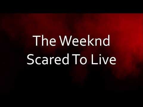 The Weeknd - Scared To Live [Lyrics]