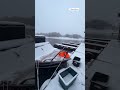 Рыбалка на Салют 585НТ  #лодкадлярыбалки
