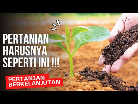 Video: Mengapa perladangan berpindah berkelanjutan di masa lalu?