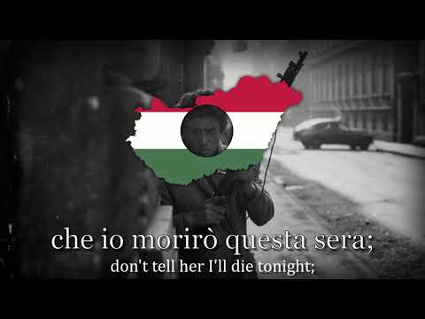 Video: Waktu Di Budapest